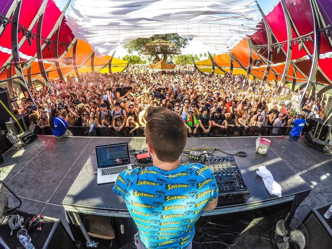 En DJ spelar framför en stor festivalpublik utomhus.